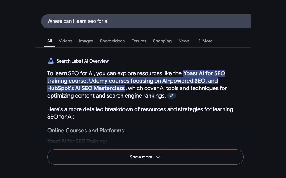 seo for ai - google search